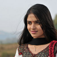 Sheena Shahabadi new pictures | Picture 45554